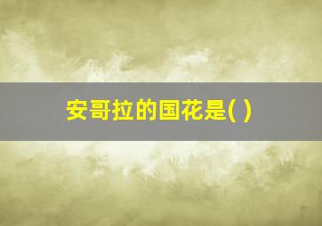 安哥拉的国花是( )